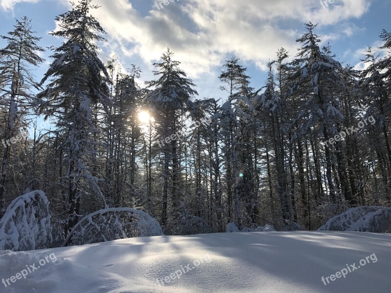 Winter Wonderland Snow Wonderland Cold Landscape