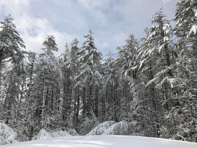 Winter Wonderland Snow Wonderland Cold Landscape