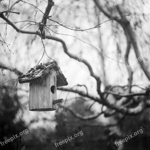 Bird House Black And White Monochrome Calm Free Photos