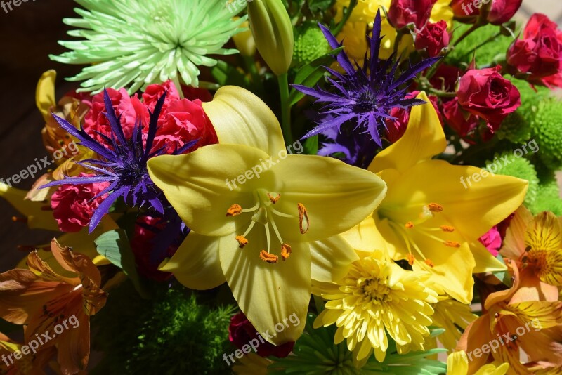 Colorful Flower Bouquet Flower Blossom Bloom Nature