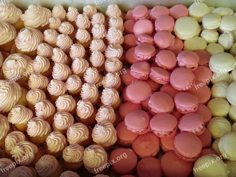 Macaron Sweets Pastry Sugar Free Photos