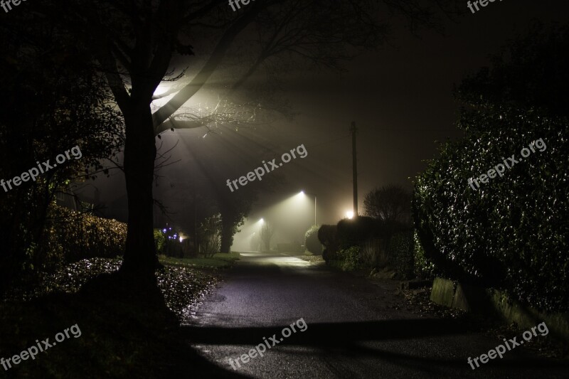 Misty Lane Foggy Season Outdoor