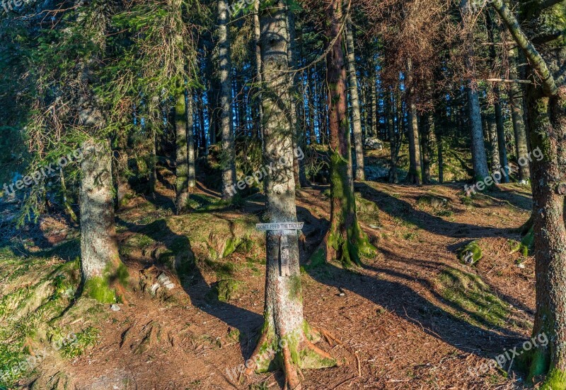 Norway Bergen Floyen Nature Sign Landscape