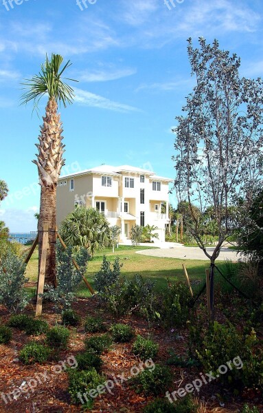 Beach Home Florida Tropical Palm Trees Landscape