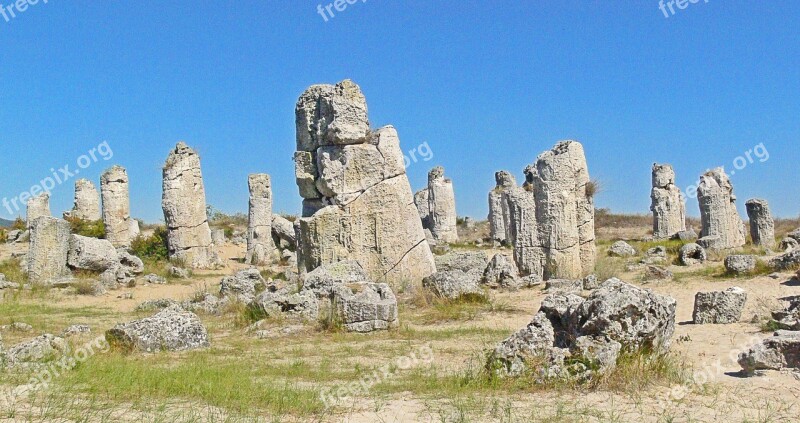 Stone Forest Stone Forest Fossil Forest Stones