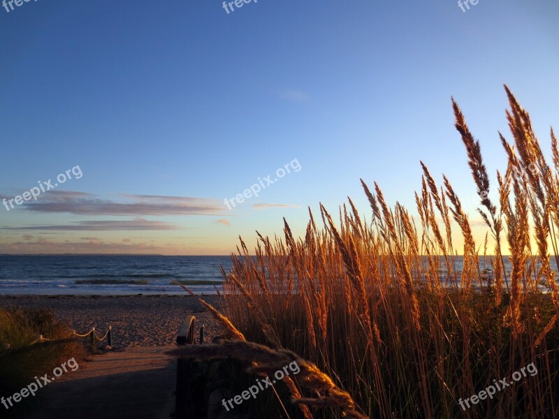 Baltic Sea Beach Winter Timmendorfer Beach Free Photos