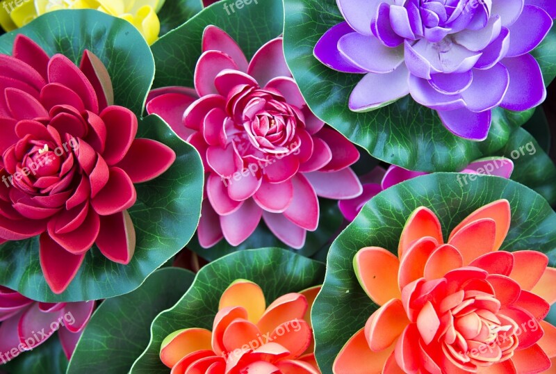 Flowers Artificial Paper Art Colourful Free Photos