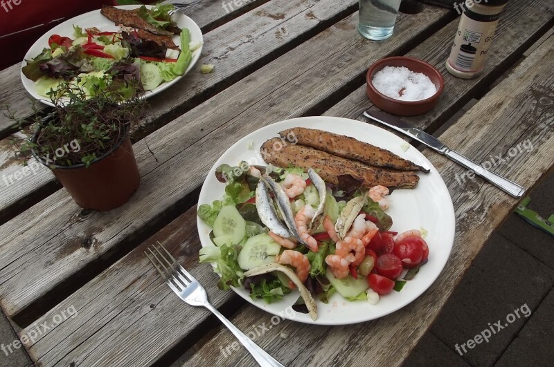 Sea Food Salad Alfresco Summer Salad Free Photos