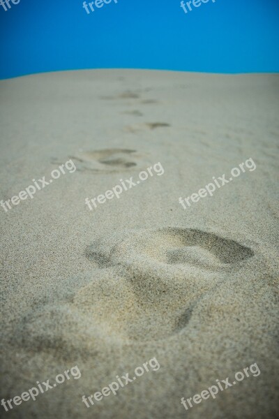 Footprints Sand Beach Tracks In The Sand Free Photos