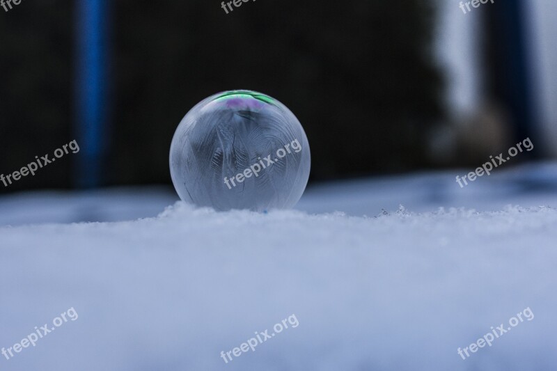 Frozen Soap Bubbles Winter Frozen Bubble Cold