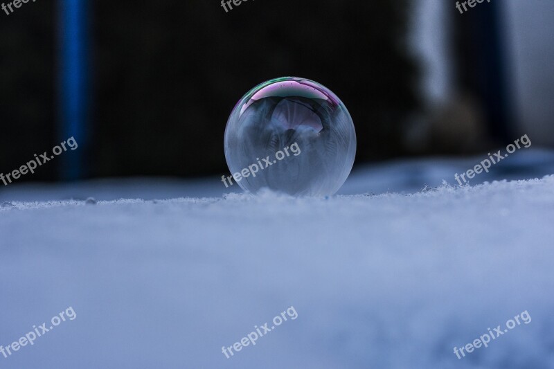 Frozen Soap Bubbles Winter Frozen Bubble Cold