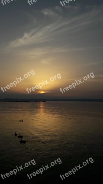 Landscape Lake Balaton Sunset Mallards Free Photos