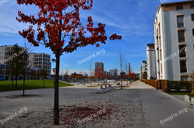 Contrast Autumn City Concrete Leaves