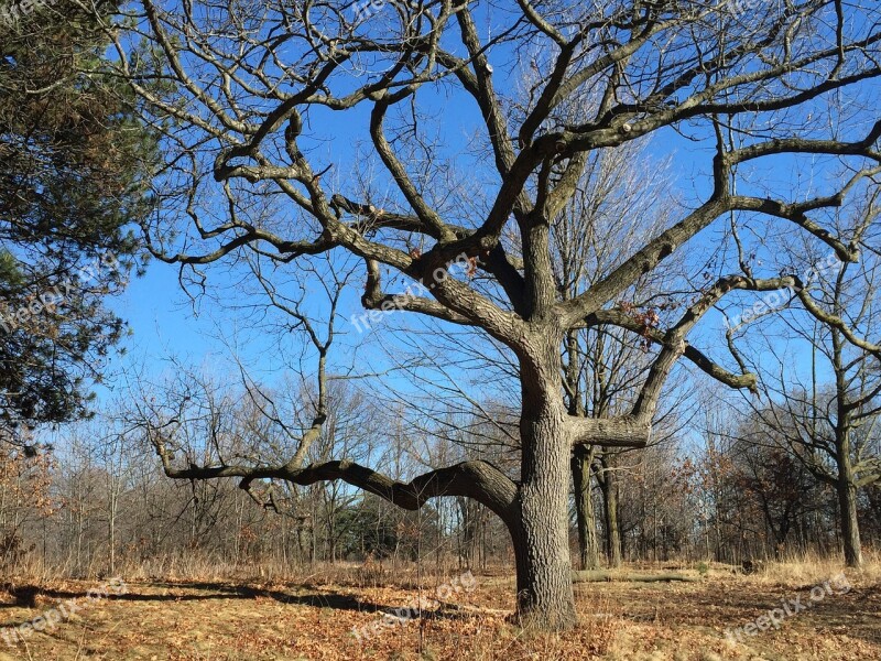 Toronto Canada Ontario High Park Autumn