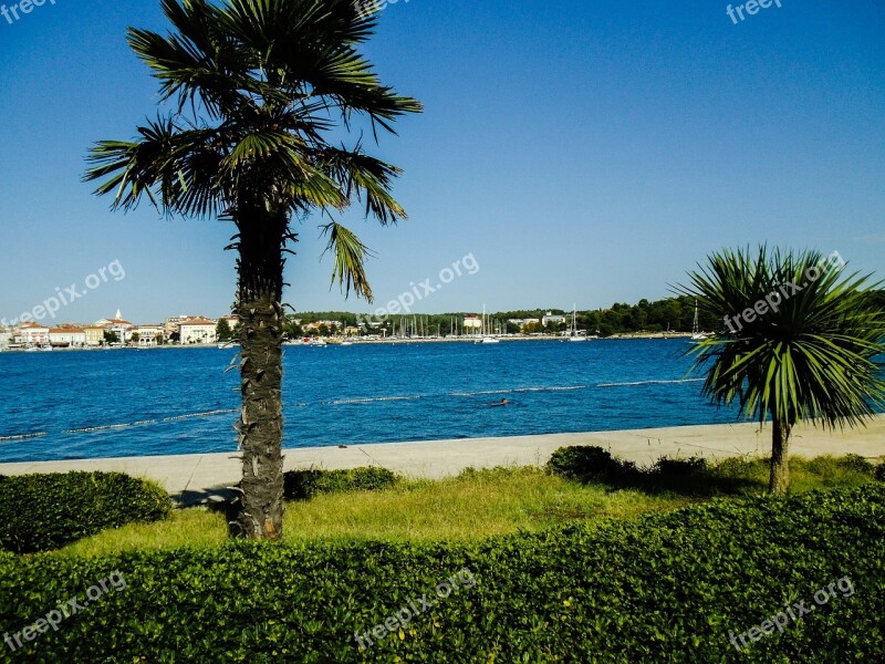 Summer Palm Croatia Vacations Sky