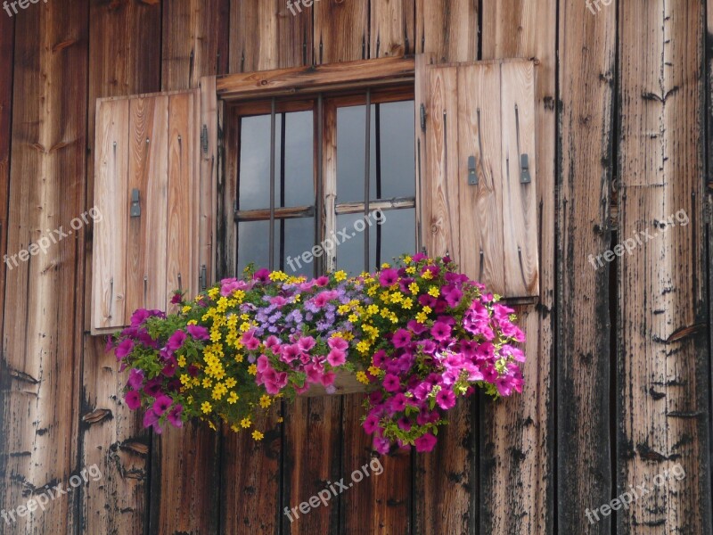 Finestra Rifugio Alpi Austria Fiori Shelter