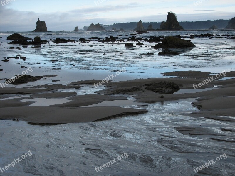 Sea Stacks Rocks Low Tide Ocean Coast