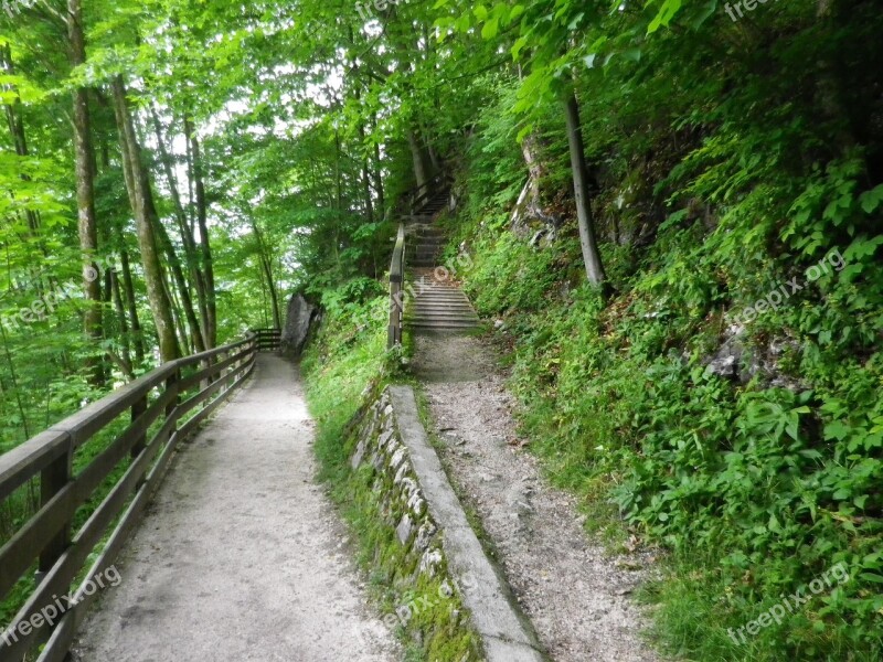 Nature Up Or Down Stairs Gradually Away