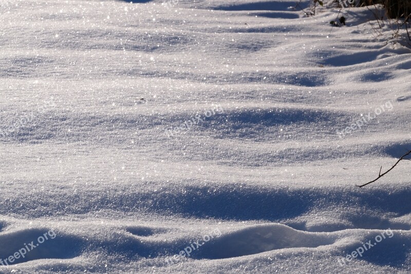 Snow Flake Winter Cold January 2016