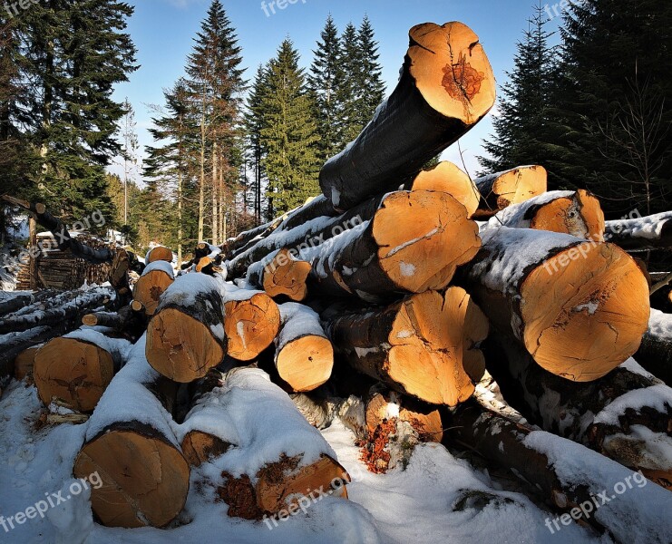 Wood Mountains Beeches Fuel Bale