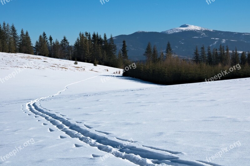 Babia Top Winter Trail Skitury Skiing