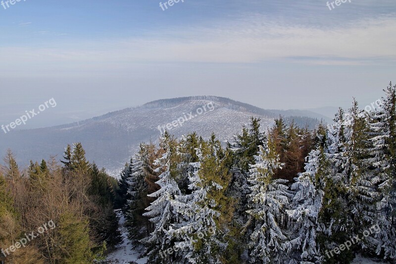 Mountains Tree Winter Snow Stok