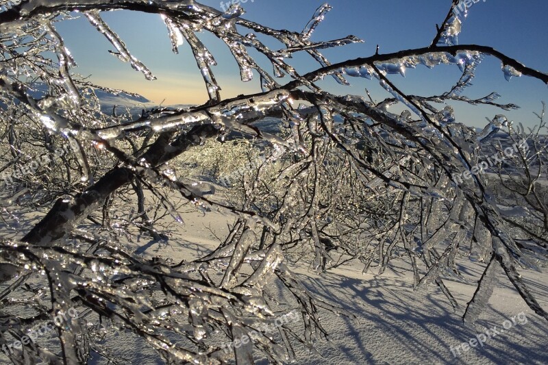 Ice Icicles Snow Fells Jämtland