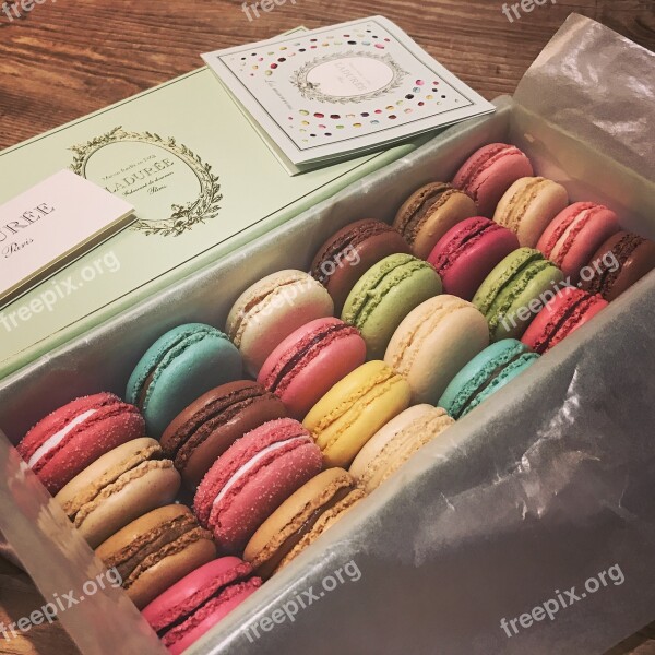 Macaron Colourful Cookies Free Photos