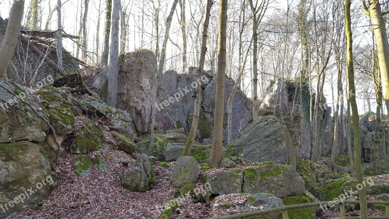 Forest Nature Landscape Stones Rock