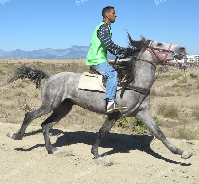 Reiter Turkey Human Horse Ride