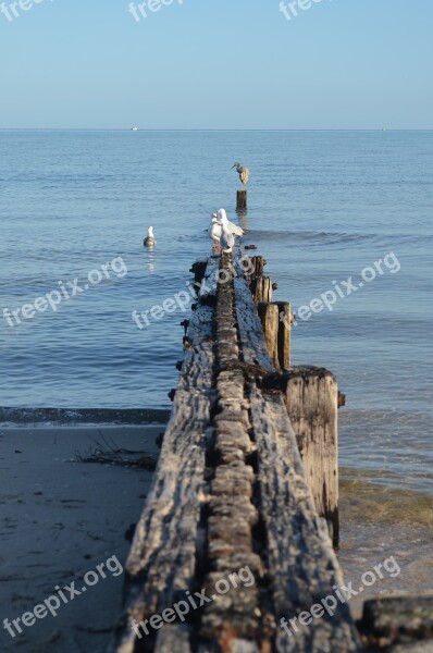 Coast Peninsula Melbourne Ocean Scenic