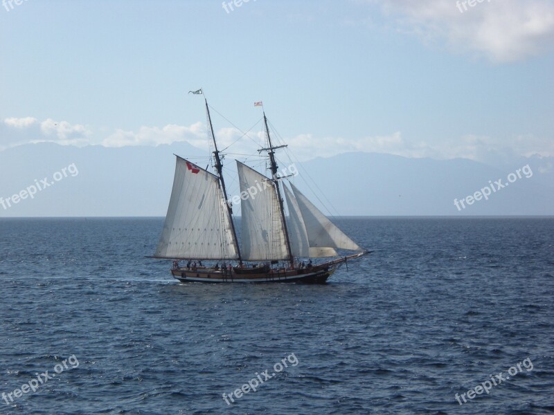 Schooner Sailing Sea Free Photos