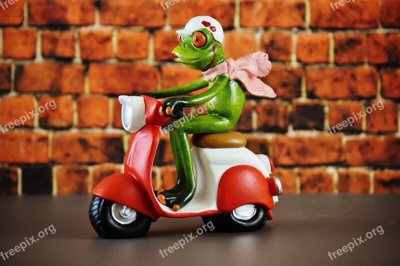 Vespa Roller Frog Figure Funny