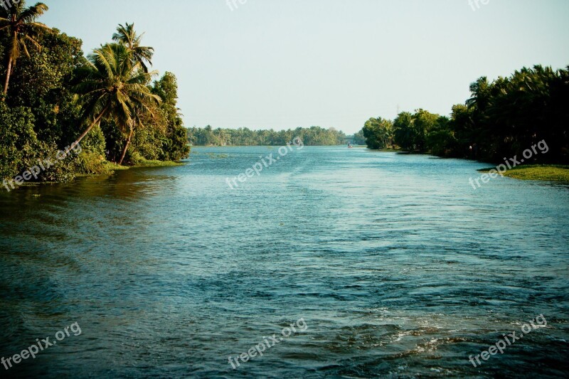 Backwaters India Kerala Water Palm