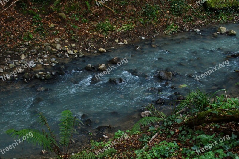 Green Forest Landscape Waterfall Nature