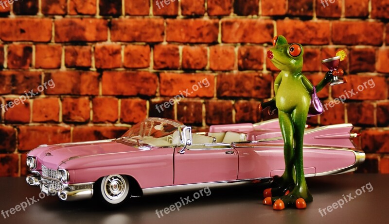 Cadillac El Dorado Frog Chick Arrogance