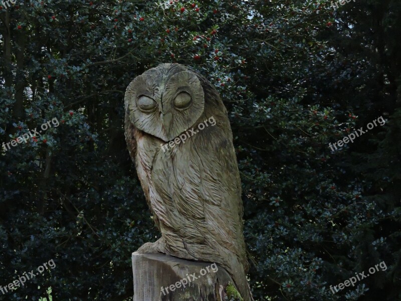 Owl Wooden Sculpture Sculpture Wooden Bird