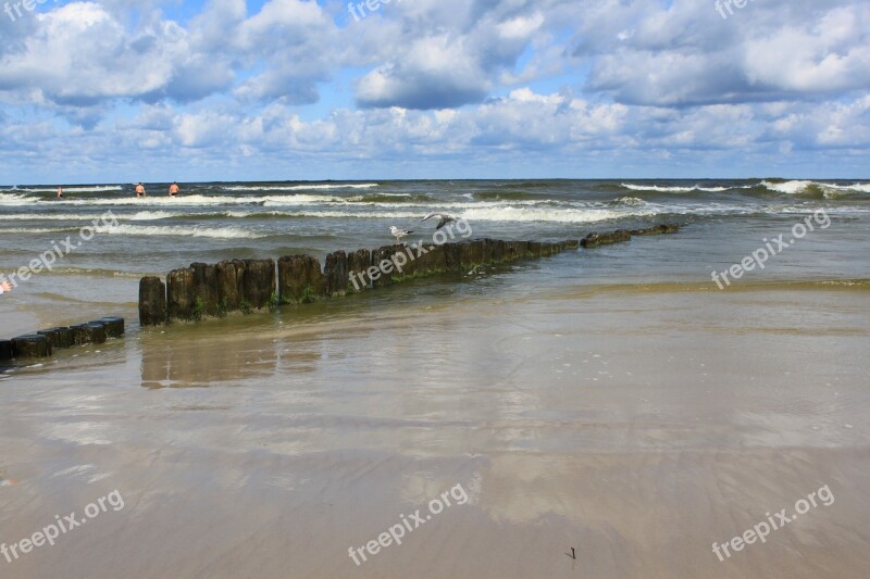 Water Sea The Baltic Sea Nature Seagull