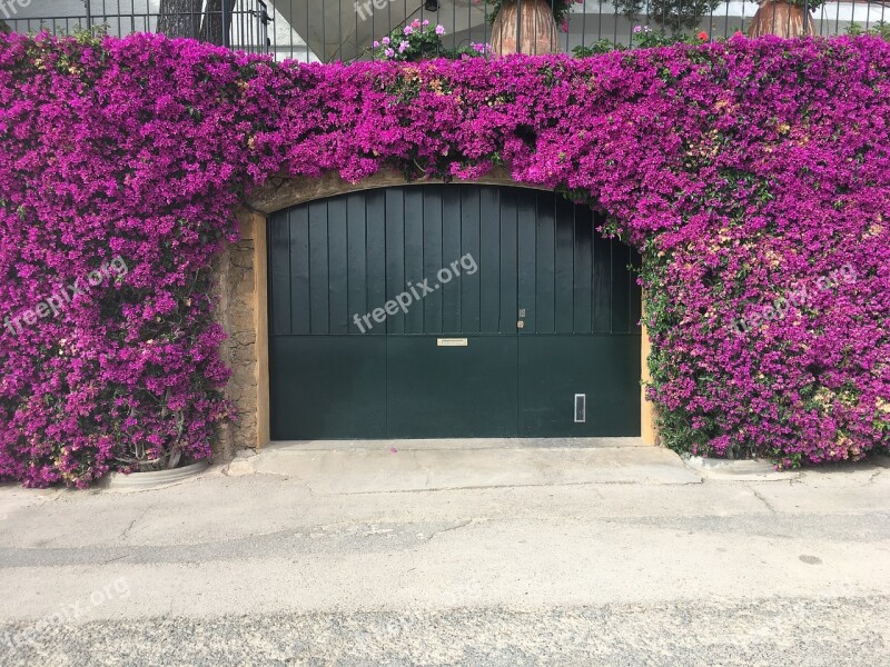 Porches Flowers Gate Free Photos