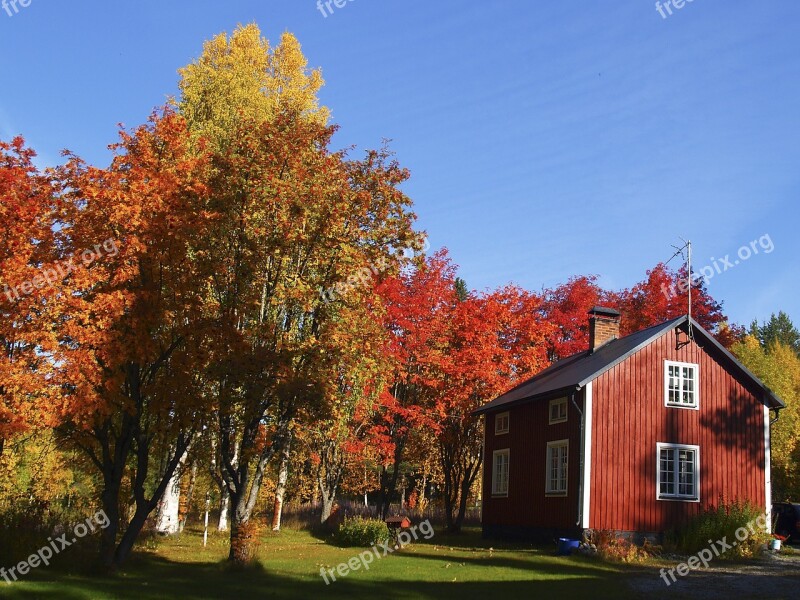 Autumn Colors Rowan Cottage Blue