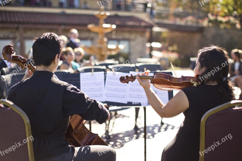 Musicians Violin Cello Musician Player