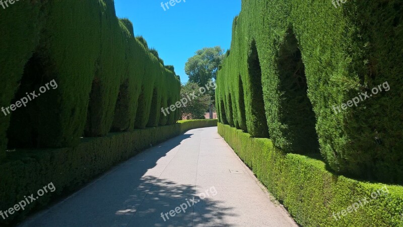 Alhambra Museum Travel Free Photos