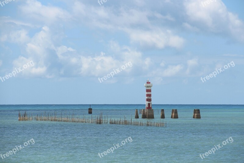 Lighthouse Green Tip Maceió Alagoas Free Photos