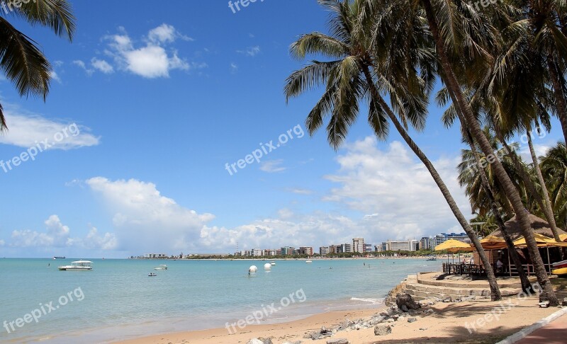 Maceió Brazilian Beaches Alagoas Beach Northeast Nature