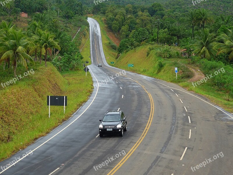 Ecological Road Bahia Atlantic Forest Free Photos