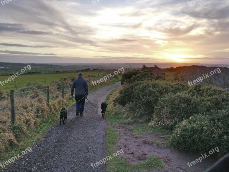 Ireland Dogs Walking Man Sunset