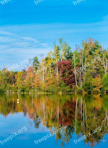 Park Reflection Water Trees Autumn