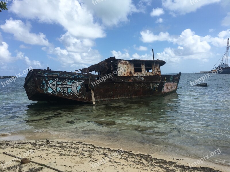 Mar Beach Coconut Tree Travel Beira Mar