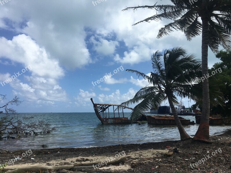 Mar Beach Coconut Tree Travel Beira Mar