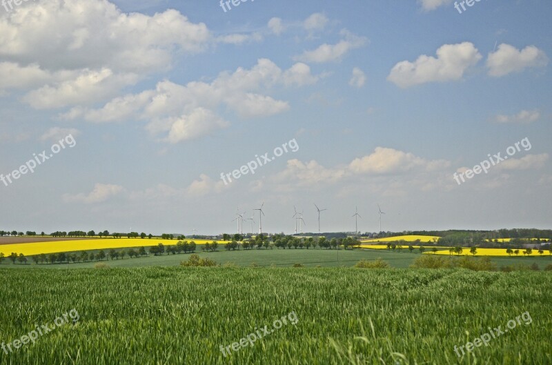 Fields Reported Oilseed Rape Nature Landscape